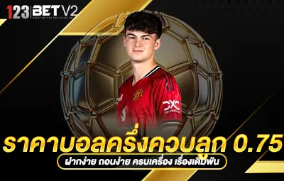 ราคาบอลครึ่งควบลูก 0.75