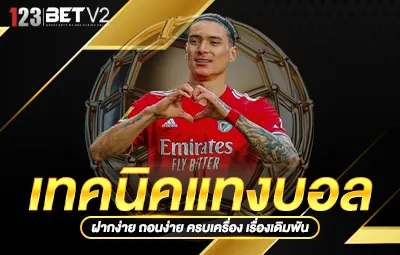 เทคนิคแทงบอล