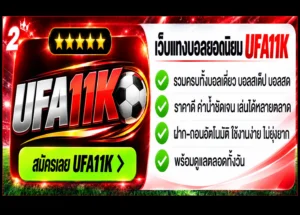 เว็บแทงบอล
