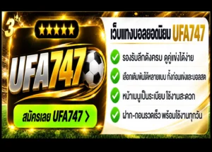 เว็บแทงบอล