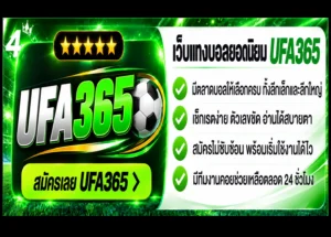เว็บแทงบอล